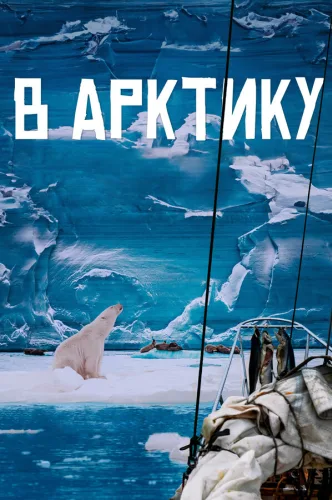В Арктику