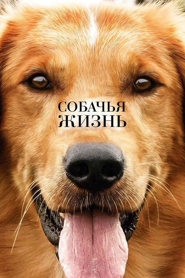 A Dog's Purpose