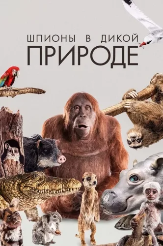 Шпионы в дикой природе